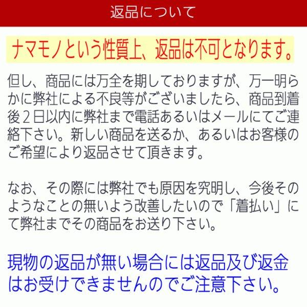 お歳暮 ギフト 干物 お取り寄せ グルメ プレゼント 贈答品   おまかせ干物セット6000円コース  送料無料 魚 食品 海鮮