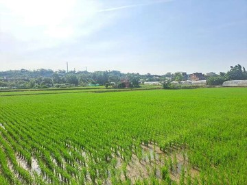 桃園市大溪區東隆段農地｜桃園市大溪區東隆段