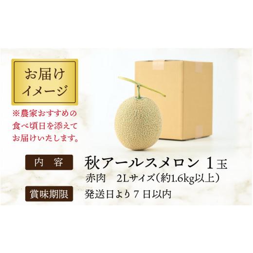 ふるさと納税 福井県 あわら市 秋 アールスメロン 1玉（約1.6kg以上） 高級メロン！ ／ マスクメロン 大玉 果物 フルーツ 夏 ギフト 農家…