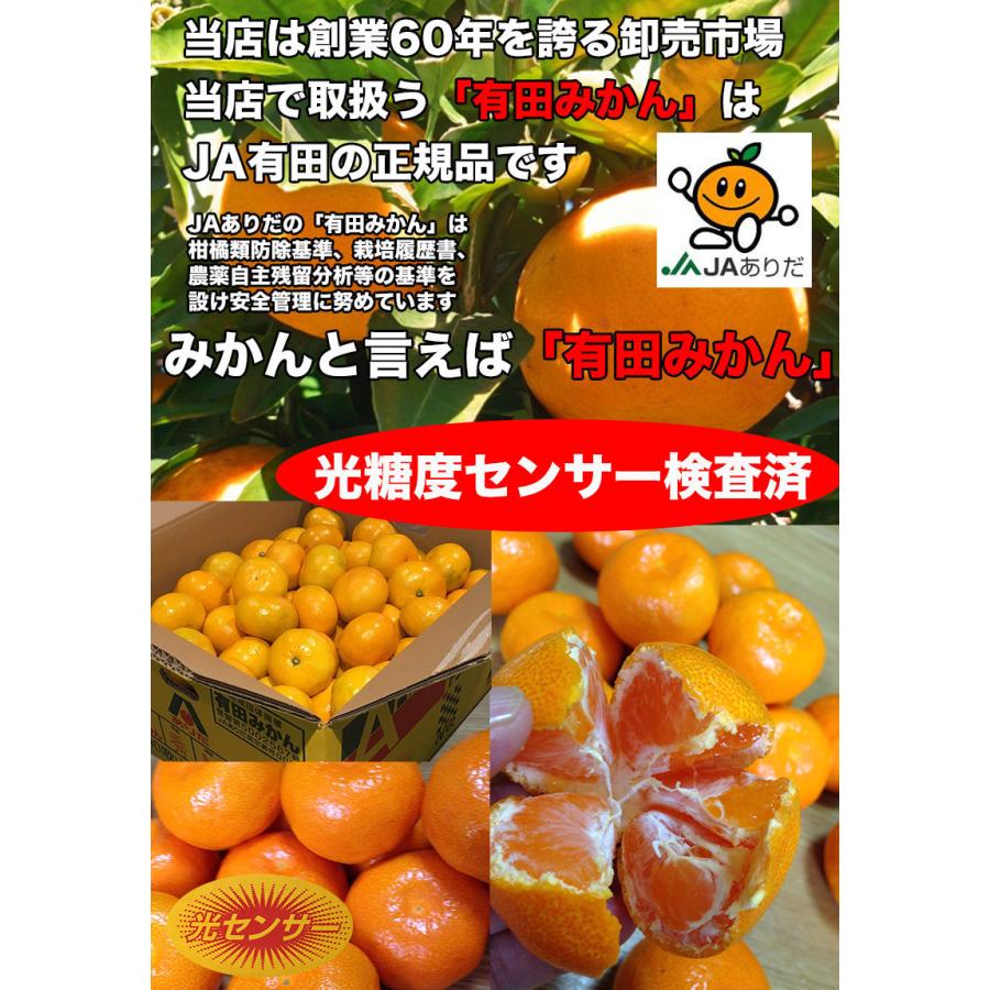 みかん 4.5kg 有田  送料無料 和歌山 有田 みかん 赤秀 2Lサイズ 4.5kg 贈答用 ギフト 和歌山 有田みかん お歳暮 ギフト