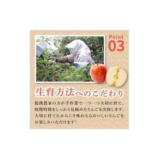 ふるさと納税 青森県 五所川原市 青森県産葉とらずサンふじりんご約5kg