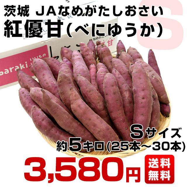 茨城県より産地直送 JAなめがたしおさい さつまいも「紅優甘 (べにゆうか)」 Sサイズ 5キロ(25本から30本) 送料無料 さつま芋 サツマイモ 薩摩芋