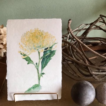 和紙明信片【Anastasia】