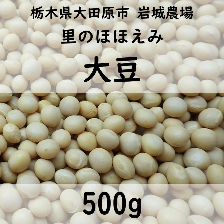 大豆500g（2022年産 里のほほえみ）