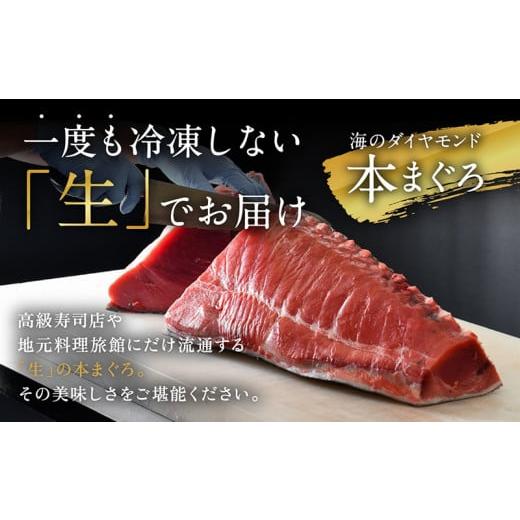 ふるさと納税 福井県 越前市 絶品！生本マグロセット　大トロ 400g   中トロ 400g   赤身 400g（すべて柵どり）