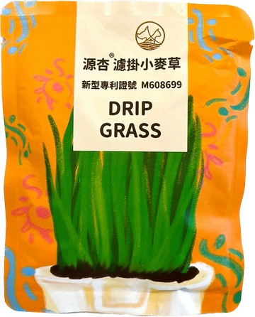 輕鬆手作新鮮貓草濾掛式-小麥草/單入組