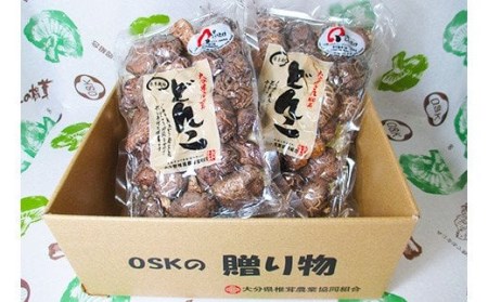 大分県産 どんこ 椎茸 2個セット 100g×2袋 乾しいたけ きのこ