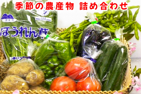 季節の農産物詰め合わせ｜産直 農産物 季節の野菜 [0128]