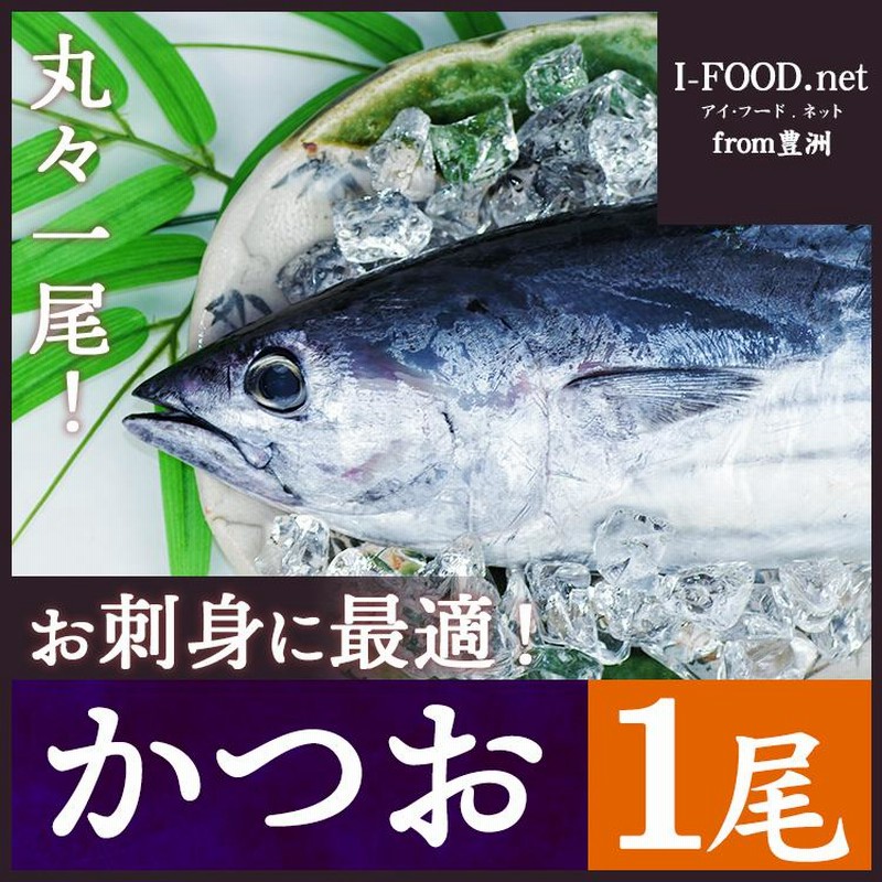 カツオ 1尾（約3kg）千葉県産 - 魚介類