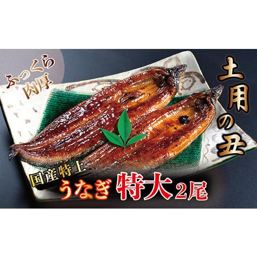 ふるさと納税 福井県 越前市 国産！特上うなぎのかば焼き 約250g × 2尾