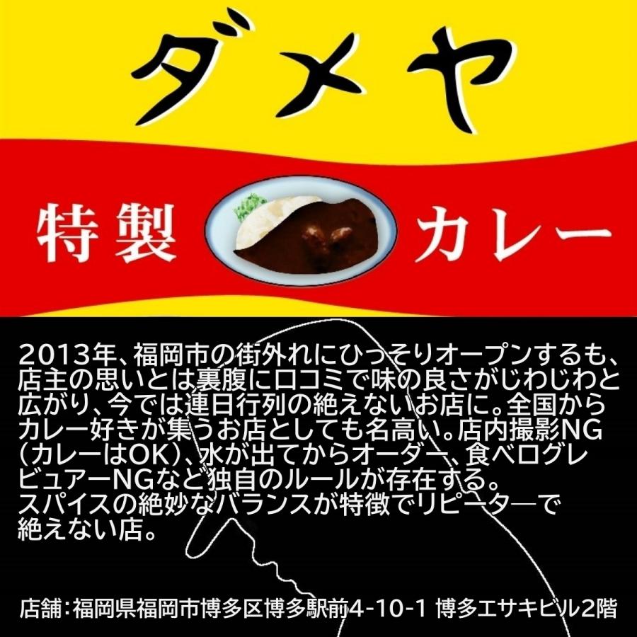 「ダメヤ」監修　職人仕込みの辛口ビーフカレー 1食