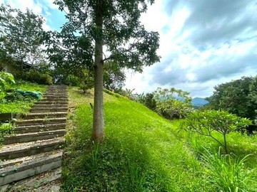 864坪大土地 | 自然美景渡假小木屋｜台中市東勢區東崎路三段