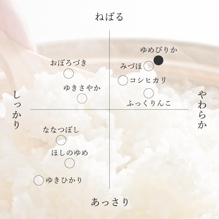 ポイント15% 新米 産地限定 ゆめぴりか お試し 900g 6合 北海道産 白米 令和5年産 米 お米 送料無料 ポイント消化