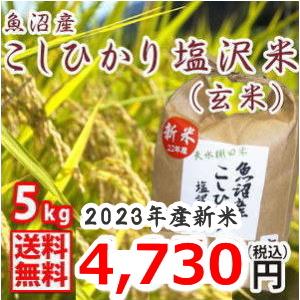 送料無料 （令和5年新米） 南魚沼産 コシヒカリ 塩沢米 玄米 5ｋｇ 産地直送 こしひかり