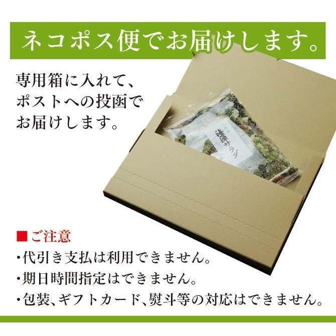 海藻サラダ 300g 塩蔵サラダ_送料無料 三陸 国産 無添加食品 ぽっきり 母の日 父の日 ポイント消化