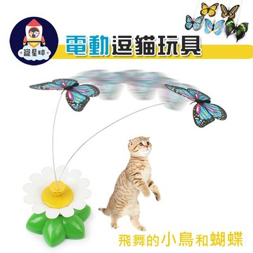 【寵星球】電動飛蝴蝶/電動小鳥 電動逗貓棒電動逗貓器-貓玩具寵物玩具自動貓玩具旋轉電動蝴蝶飛舞遊戲
