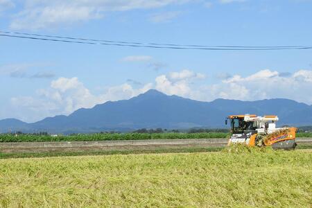 お米マイスターが育てた特別栽培米 コシヒカリ 上越頸城産 令和5年産 2kg(2kg×1袋)白米