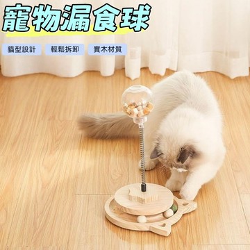 寵物漏食球 寵物玩具 漏食玩具 貓咪玩具球 藏食玩具 實木轉盤漏食球 逗貓棒 狗狗玩具 寵物解悶玩具