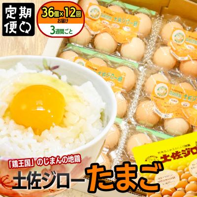 ふるさと納税 いの町 土佐ジローたまご(1パック6個入×6パック=36個×12回)約3週間毎に1回