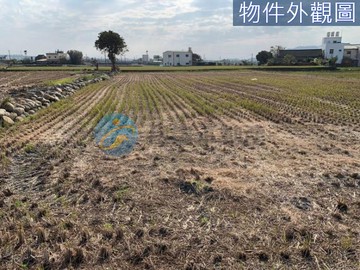 .專任東明國小 | 一般農業區 | 東明路農地｜台中市大甲區日新段