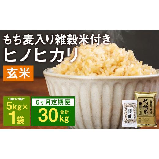 ふるさと納税 熊本県 菊池市 熊本県菊池産 ヒノヒカリ 玄米 計30kg(5kg×6回) もち麦入り雑穀米 計1.2kg(200g×6回) 米 お米 残留農薬ゼロ 低…