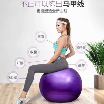 瑜伽球健身加厚按摩平衡球寶寶玩具防爆大龍球助產孕婦球全套