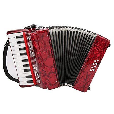 Beginner Accordion, 22 Key Bass Professional Accordion with Adjustable Shoulder Strap Piano Accordion Instruments for Music Performance C 並行輸入品