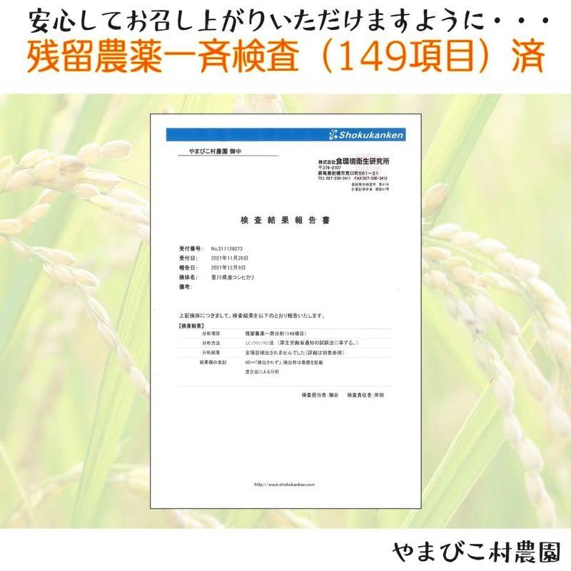 香川県産 コシヒカリ 22.5kg 白米 残留農薬不検出米 令和４年産