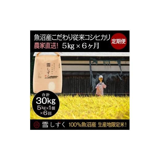 ふるさと納税 新潟県 十日町市 定期便！魚沼産こだわり従来コシヒカリ毎月5kg×6回