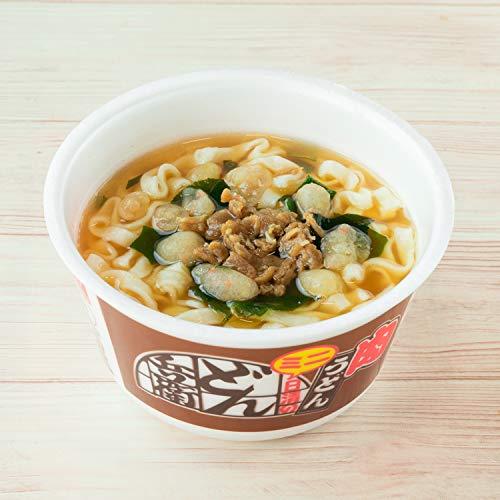 日清食品 どん兵衛 肉うどんミニ 40g×12個