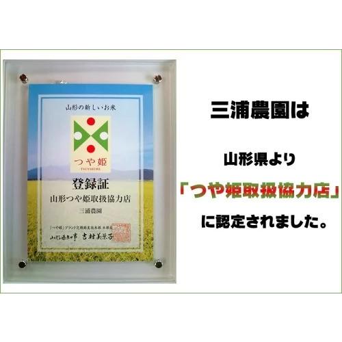 新米 ポイント消化 米 お米 送料無料 つや姫 300g (2合) 令和5年産 山形県産 白米 無洗米 分づき 玄米 当日精米 真空パック メール便 650円 ゆうパケ