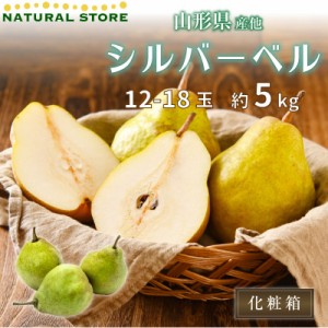 [予約 12月1日-12月20日の納品] 洋梨 シルバーベル 約5kg 12玉-18玉 山形県産 他 秋ギフト ラフランス 梨 果実専用箱 冬ギフト お歳暮 御