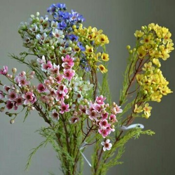 北歐仿真花傲梅精品配材新娘手捧配花假花小清新菊花澳梅