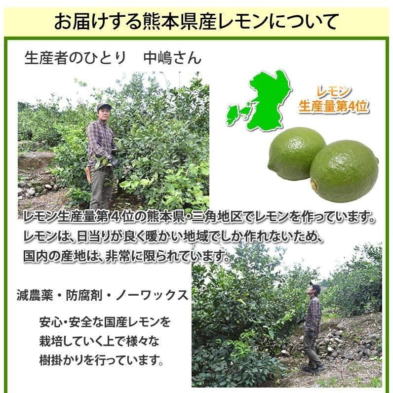 レモン 国産レモン 送料無料 2kg S〜L 3箱購入で1箱おまけ 熊本県産 減農薬 防腐剤ワックス不使用 れもん グリーンレモン 国産