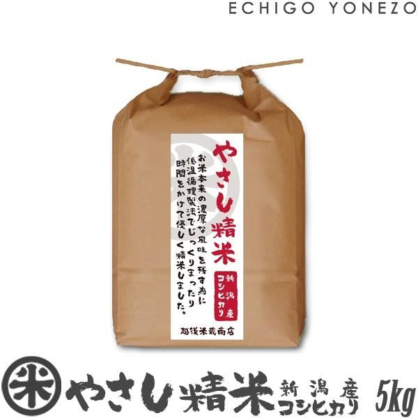 [新潟米 令和4年産] 新潟産コシヒカリ やさし精米 5kg (5kg×1袋) 低温循環精米 新潟米 お米 白米 新潟県産 こしひかり 送料無料 ギフト対応