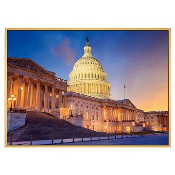 菠蘿選畫所 美國國會大廈掛畫 40 x 30cm 木色 CMCL3419D 室內裝飾