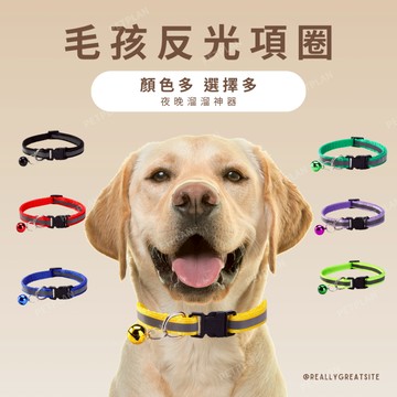 ☀️貓狗市集☀️寵物反光項圈 反光條項圈 寵物項圈 多種顏色 可水洗 無異味
