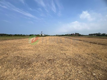 新豐崁頭方正投資美田C｜新竹縣新豐鄉崁頭