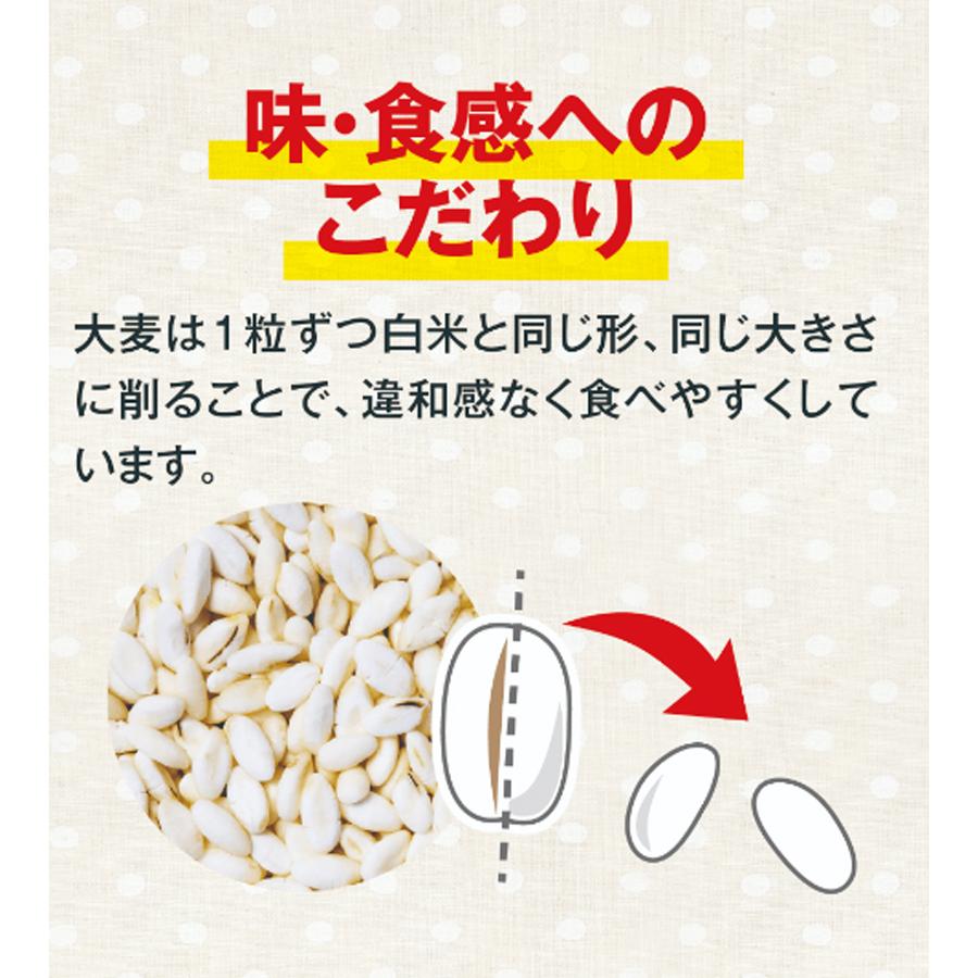 ご飯パック へるしごはん 150g 3食入2個セット 備蓄用 ロカボ ご飯 パック パックご飯 パックごはん 大麦 糖質オフ レンジ 米