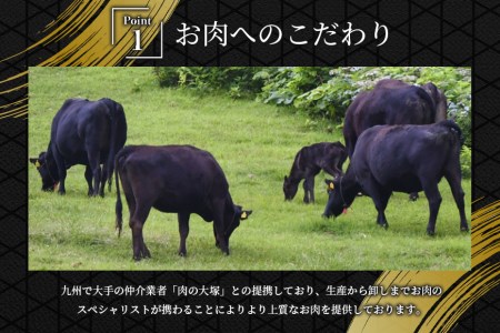 肉 長崎和牛 サーロイン ステーキ 250g×2枚 計500g 牛肉 極上 赤身 国産牛肉 バーベキュー 冷凍   サンクスラボ   長崎県 雲仙市