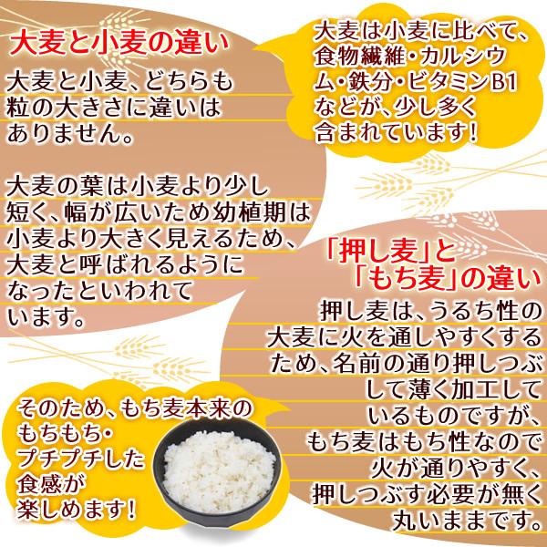 キラリモチ 岡山県産 5kg もち麦 国産 送料無料 セール特売品