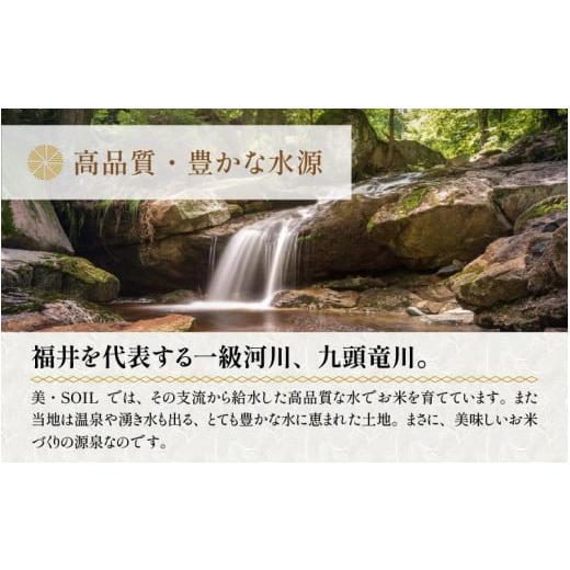 ふるさと納税 福井県 あわら市 《定期便》5kg×12回 60kg 特別栽培米 コシヒカリ 無洗米 低農薬 《食味値85点以上！こだわり極上無洗米》 ／ 福…