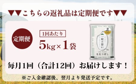 12ヵ月連続お届け  銀山米研究会のお米＜ななつぼし＞5kg