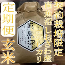 生産者限定 南魚沼しおざわ産コシヒカリ全3回