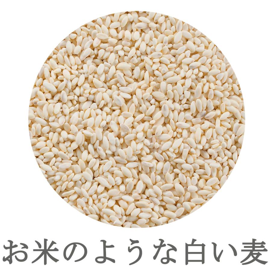 はくばく 純麦 600g