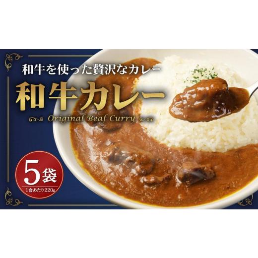 ふるさと納税 大阪府 高槻市 モリタ屋オリジナル和牛カレー5袋