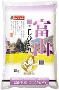 富山県産 白米 コシヒカリ 5kg 令和4年産