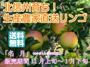 フルーティーな甘味が特徴的で食べやすい！人気の黄色種りんご「名月」中級ランク 約2.7～3ｋｇ（6～12玉)【送料