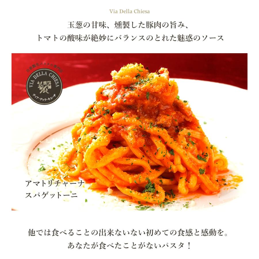 スパゲッティ スパゲティ パスタ イタリアン 料理 レトルト 玉葱 豚肉 トマトソース プレゼント ギフト 女性 オシャレ 男性 誕生日 時短 スパゲッティーニ