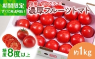 濃厚フルーツトマト1kg 糖度8度以上 期間限定 フルーツトマト ふるーつとまと とまと トマト 甘い 濃厚 美味しい 箱入り ギフト 贈答 野菜 料理 サラダ お取り寄せグルメ 高知県産